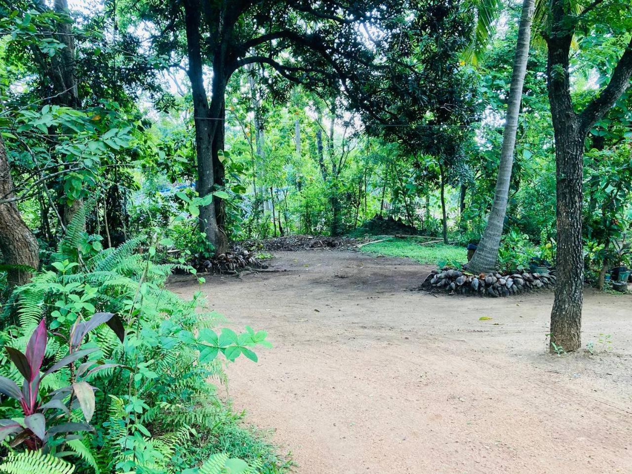 斯基瑞山林小屋 锡吉里亚 外观 照片